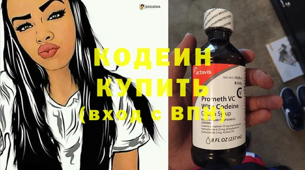 индика Богородск