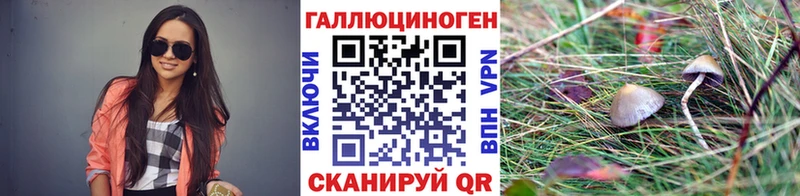 Псилоцибиновые грибы мухоморы Вольск